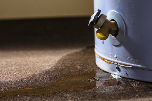 Best Water damage restoration near me  in Craigsville, WV