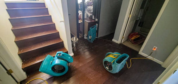 Best Flood damage cleanup  in Craigsville, WV