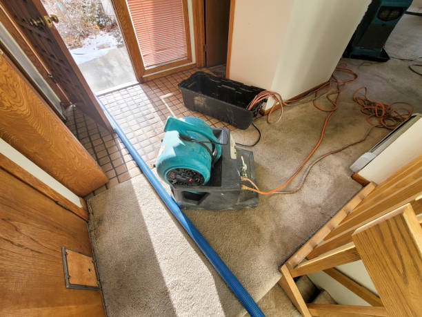 Best Fire Damage Restoration  in Craigsville, WV
