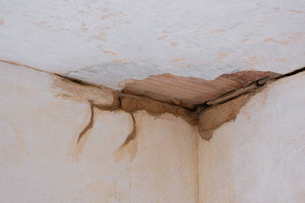 Best Flood damage cleanup  in Craigsville, WV