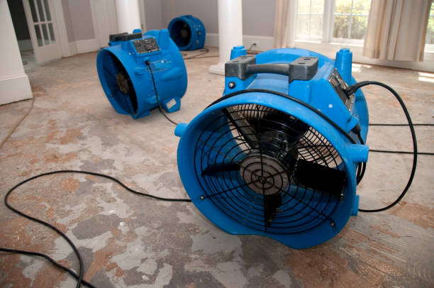 Best Commercial water damage restoration  in Craigsville, WV