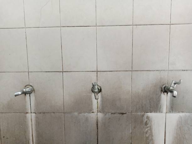 Best Water damage cleanup near me  in Craigsville, WV