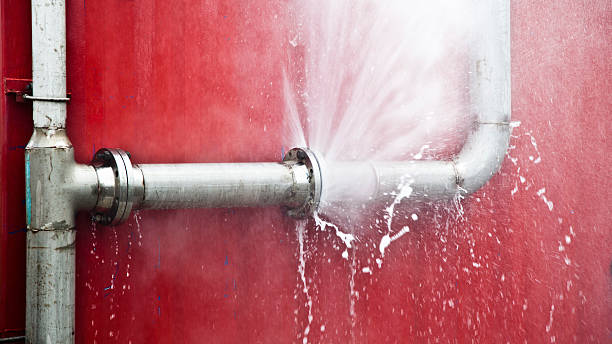 Best Flood restoration services  in Craigsville, WV