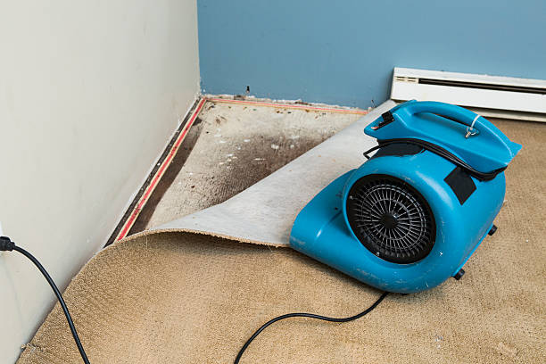 Best Water damage contractors near me  in Craigsville, WV